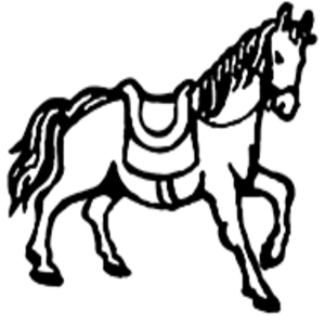 मितेरी पार्टी नेपाल